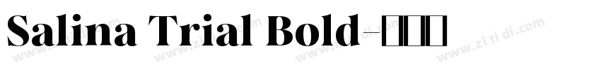 Salina Trial Bold字体转换